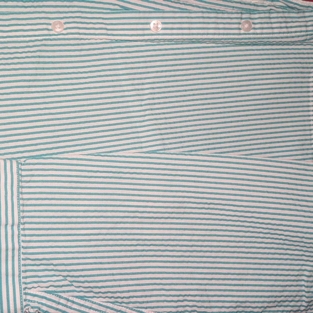 L.L. Bean Teal and White Striped Button-Down Shirt